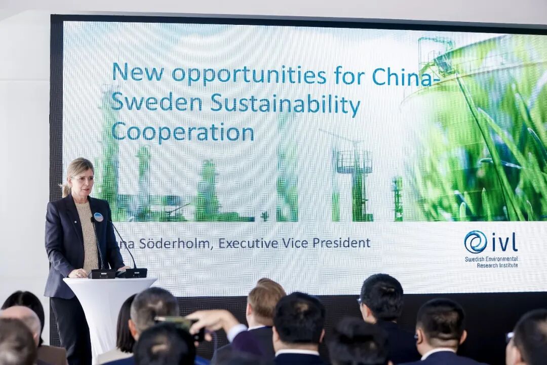 image-20251211125954-6