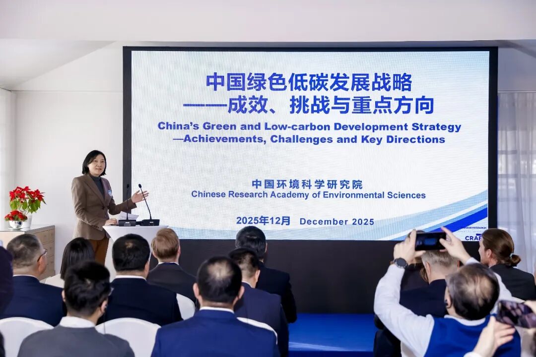 image-20251211125954-7